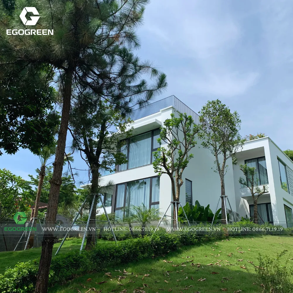 Mỗi dự án là một câu chuyện đầy hoa lá